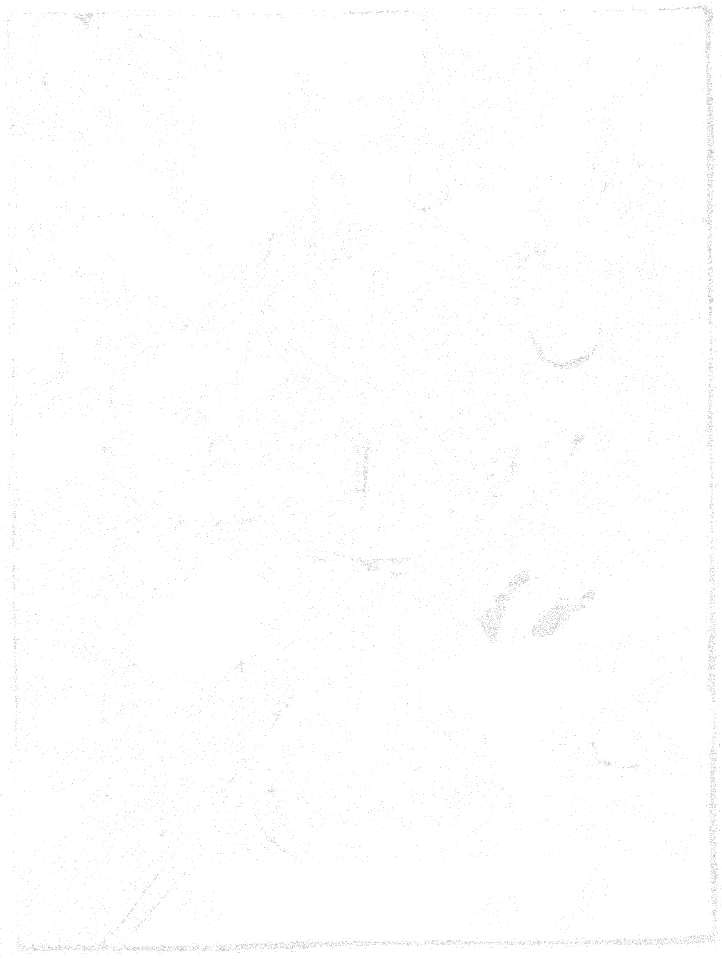 narrenschiff brant invertiert transparen